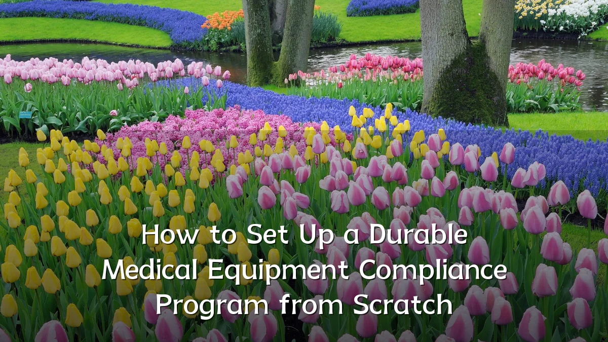 How to Set Up a Durable Medical Equipment Compliance Program from Scratch