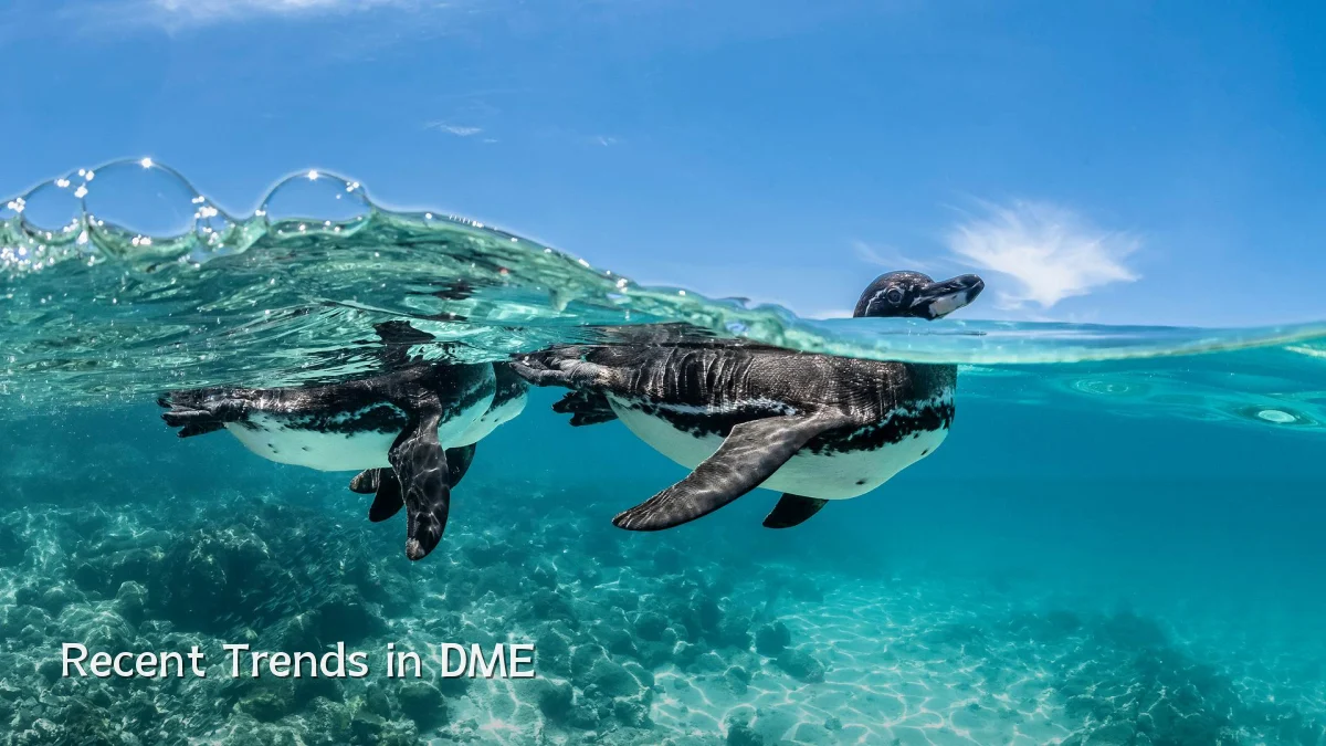 Recent Trends in DME