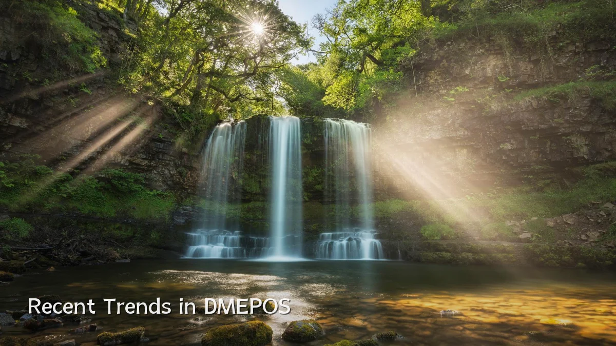 Recent Trends in DMEPOS