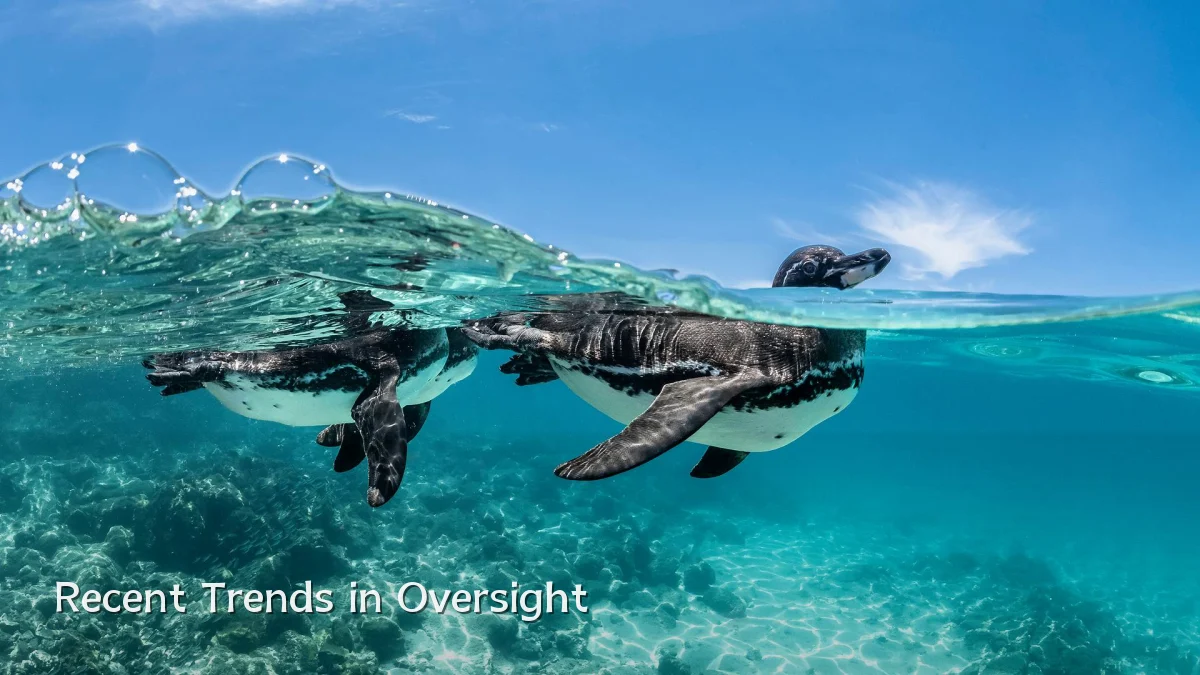 Recent Trends in Oversight