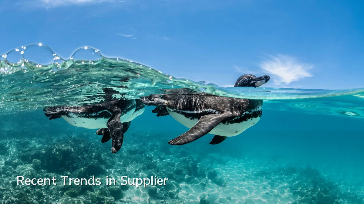 Recent Trends in Supplier